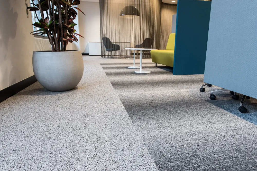 Sol moquette (2)